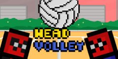 Head Volley