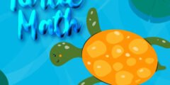 Turtle Math